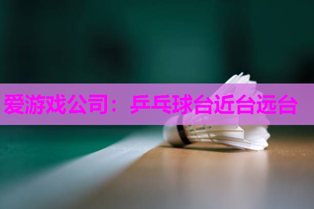 爱游戏公司：乒乓球台近台远台