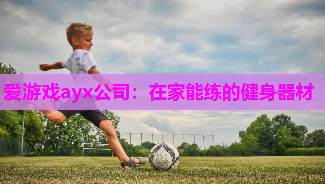 爱游戏ayx公司：在家能练的健身器材