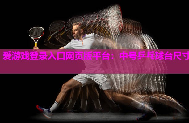 爱游戏登录入口网页版平台：中号乒乓球台尺寸