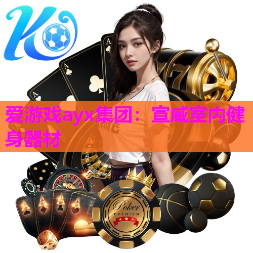 爱游戏ayx集团：宣威室内健身器材