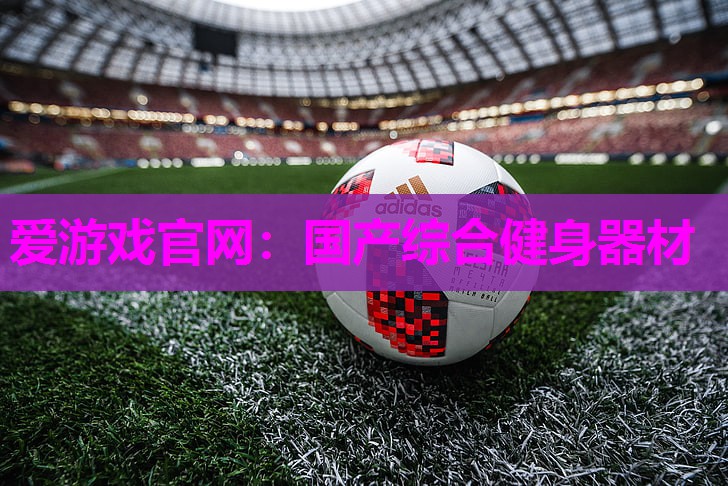 爱游戏官网：国产综合健身器材