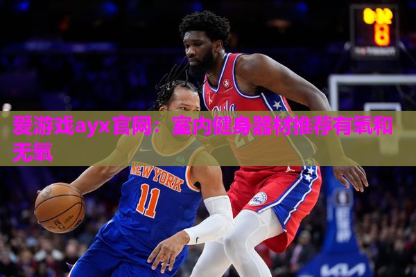 爱游戏ayx官网：室内健身器材推荐有氧和无氧