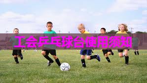 工会乒乓球台使用须知