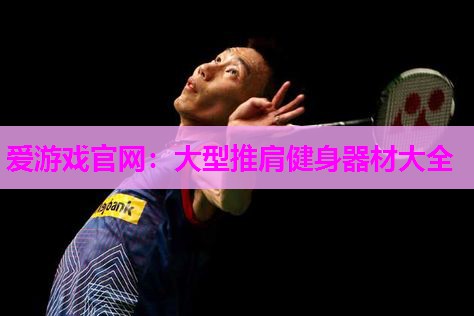 爱游戏官网：大型推肩健身器材大全