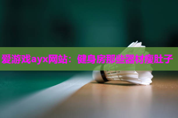 爱游戏ayx网站：健身房那些器材瘦肚子