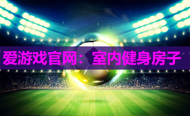 爱游戏官网：室内健身房子
