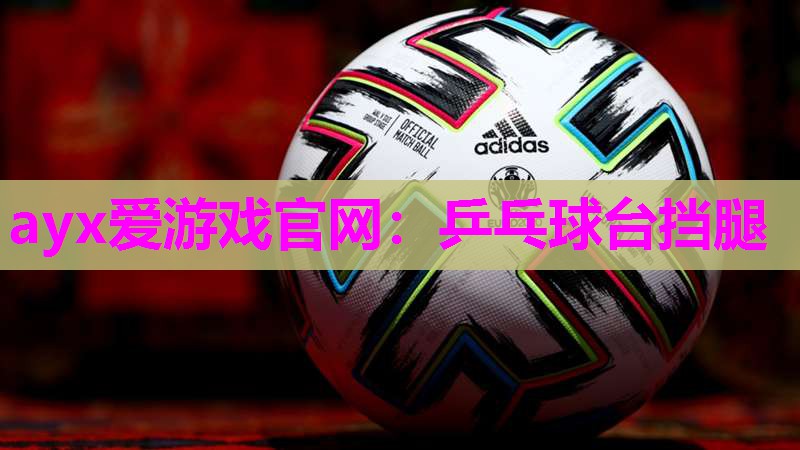 ayx爱游戏官网：乒乓球台挡腿