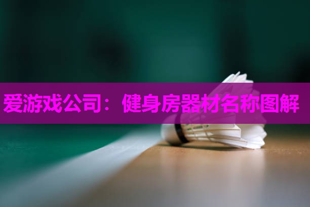 爱游戏公司：健身房器材名称图解