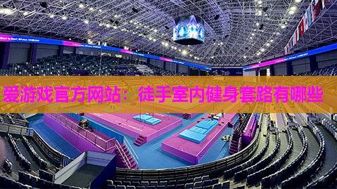 爱游戏官方网站：徒手室内健身套路有哪些