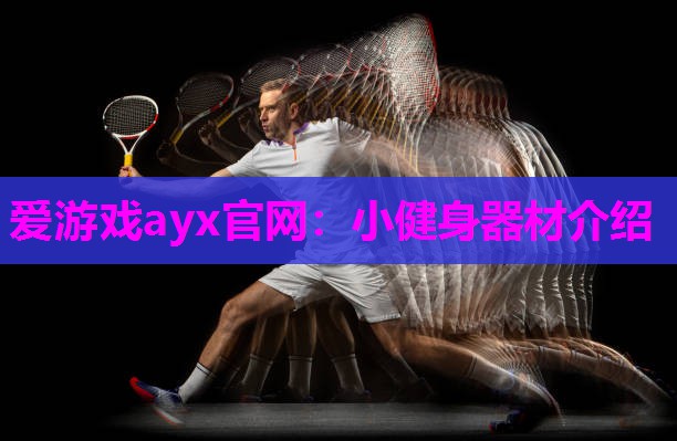 爱游戏ayx官网：小健身器材介绍