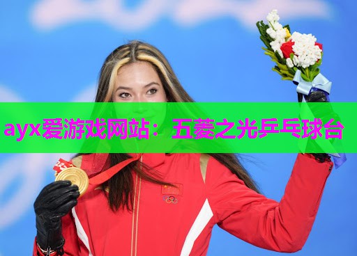 ayx爱游戏网站：五菱之光乒乓球台