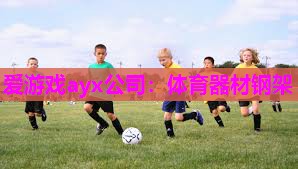 爱游戏ayx公司：体育器材钢架