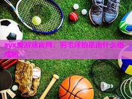 ayx爱游戏官网：羽毛球拍是由什么组成的