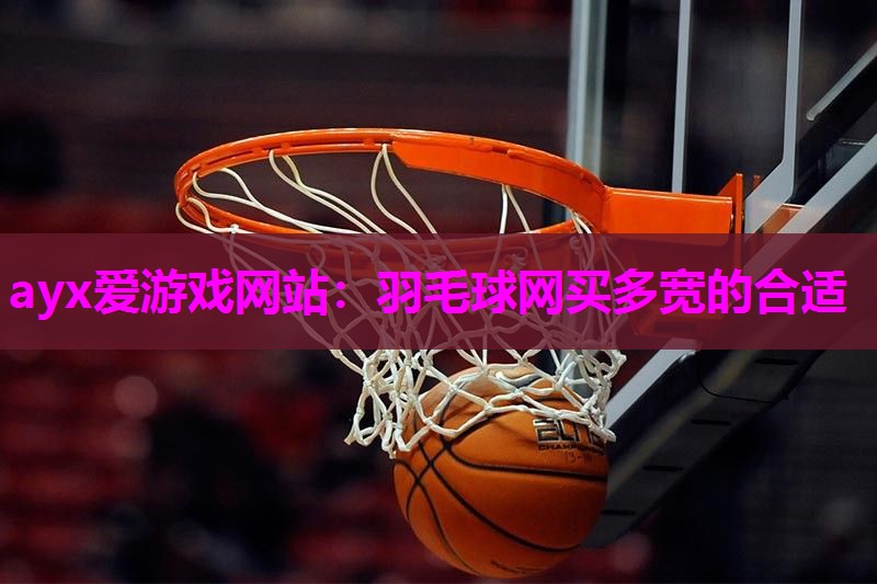 ayx爱游戏网站：羽毛球网买多宽的合适
