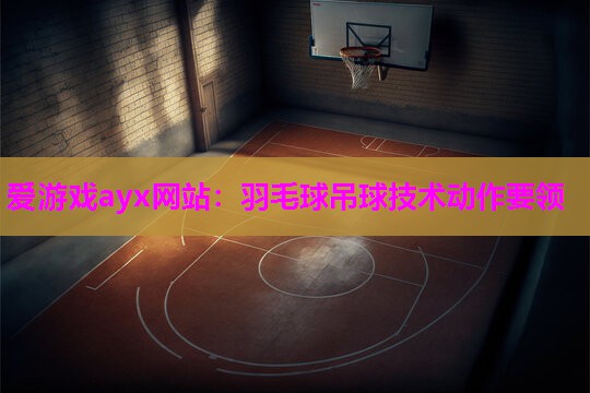 爱游戏ayx网站：羽毛球吊球技术动作要领
