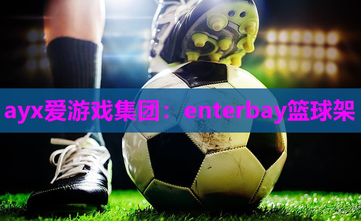 ayx爱游戏集团：enterbay篮球架