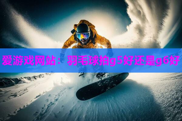 爱游戏网站：羽毛球拍g5好还是g6好