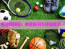 爱游戏网站：佛雷斯羽毛球拍排名