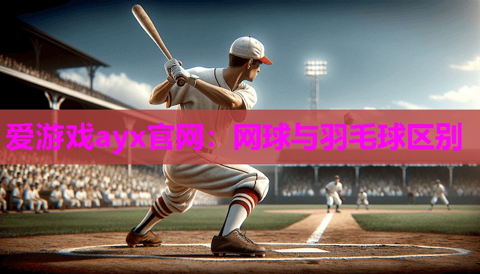 爱游戏ayx官网：网球与羽毛球区别