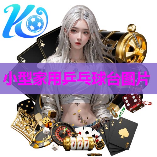 小型家用乒乓球台图片