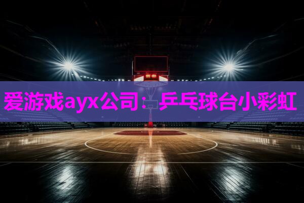 爱游戏ayx公司：乒乓球台小彩虹