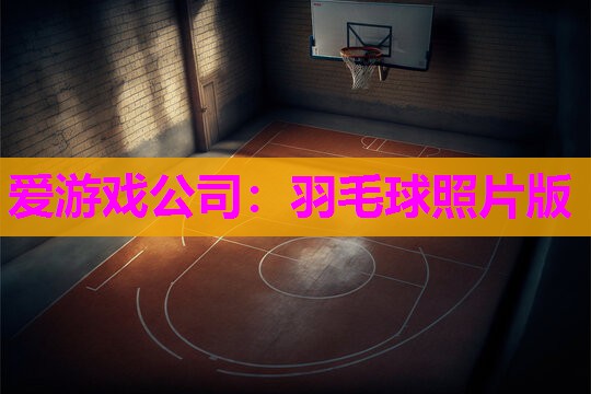爱游戏公司：羽毛球照片版