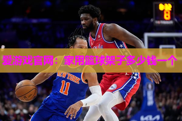 爱游戏官网：家用篮球架子多少钱一个