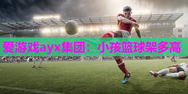 爱游戏ayx集团：小孩篮球架多高