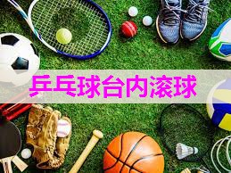 乒乓球台内滚球