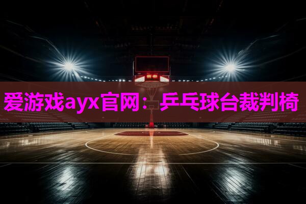 乒乓球台裁判椅