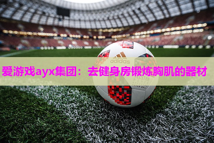去健身房锻炼胸肌的器材