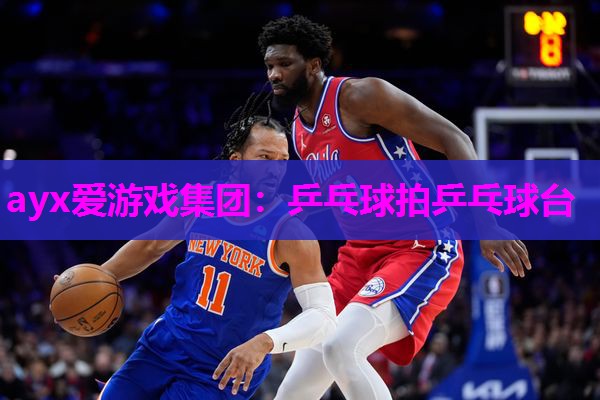 乒乓球拍乒乓球台