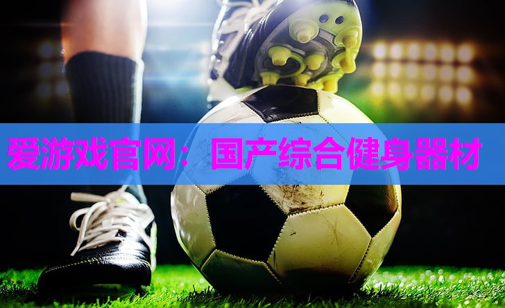 国产综合健身器材