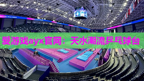 天水潮流乒乓球台