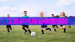 工会乒乓球台使用须知