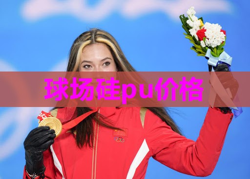 球场硅pu价格