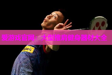 大型推肩健身器材大全
