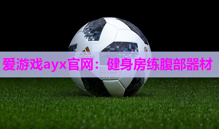 健身房练腹部器材