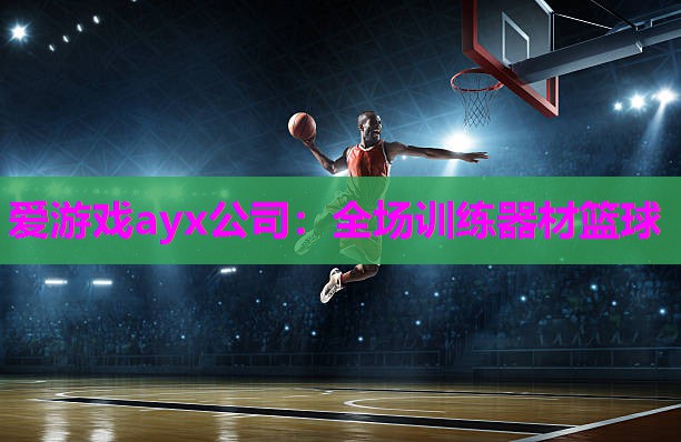 全场训练器材篮球