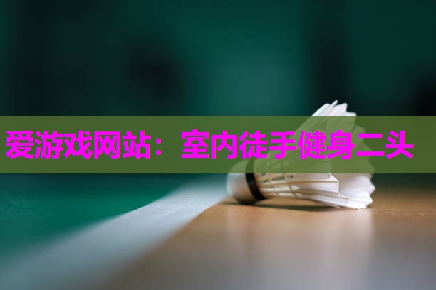 室内徒手健身二头
