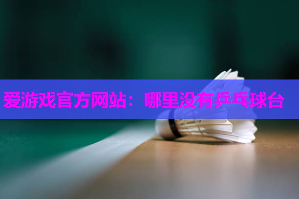 哪里没有乒乓球台