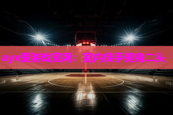 室内徒手健身二头