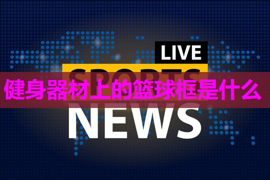 健身器材上的篮球框是什么