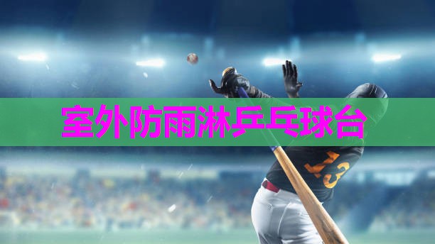 室外防雨淋乒乓球台