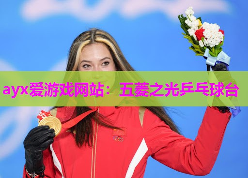 五菱之光乒乓球台