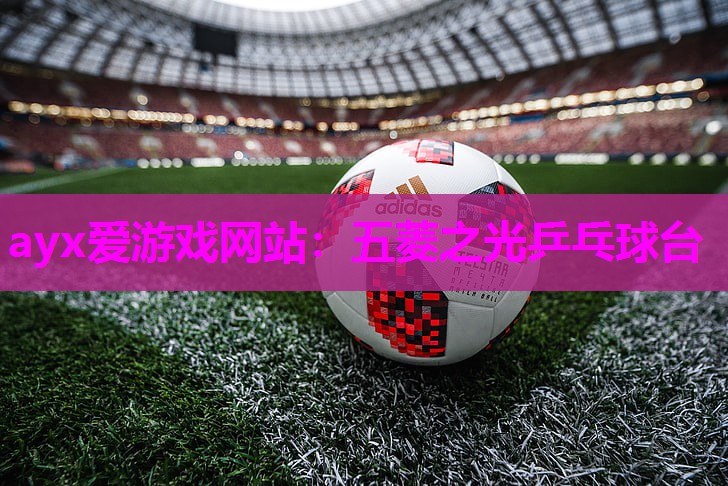 五菱之光乒乓球台