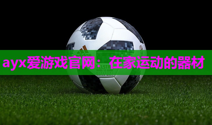 在家运动的器材