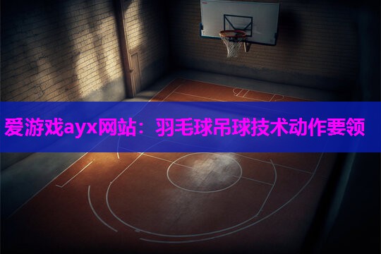 羽毛球吊球技术动作要领
