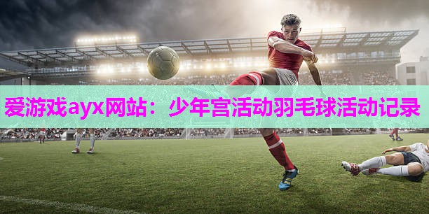 少年宫活动羽毛球活动记录