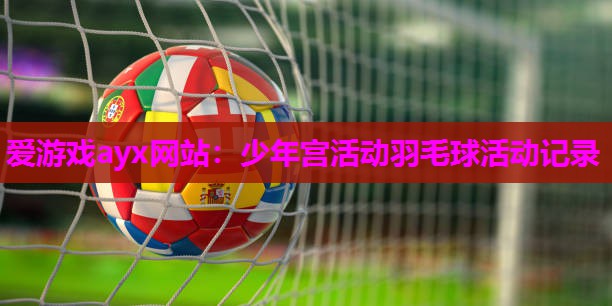 少年宫活动羽毛球活动记录